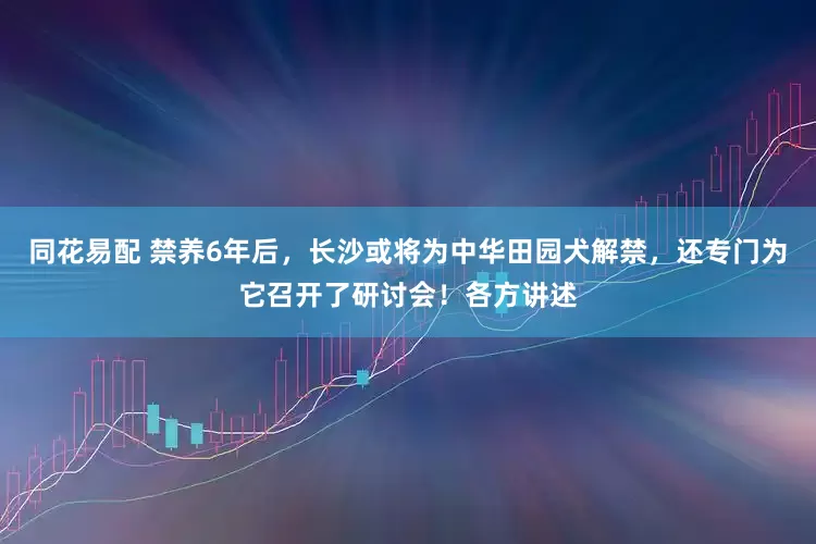 同花易配 禁养6年后，长沙或将为中华田园犬解禁，还专门为它召开了研讨会！各方讲述