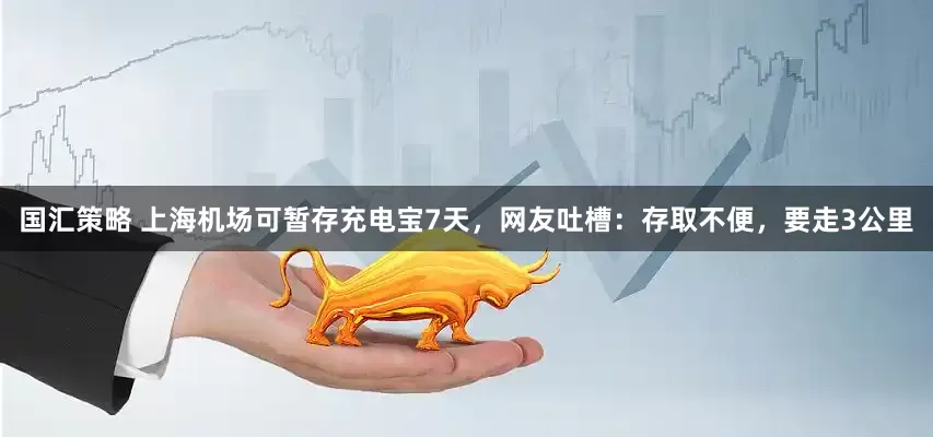 国汇策略 上海机场可暂存充电宝7天，网友吐槽：存取不便，要走3公里