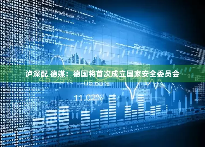 泸深配 德媒：德国将首次成立国家安全委员会