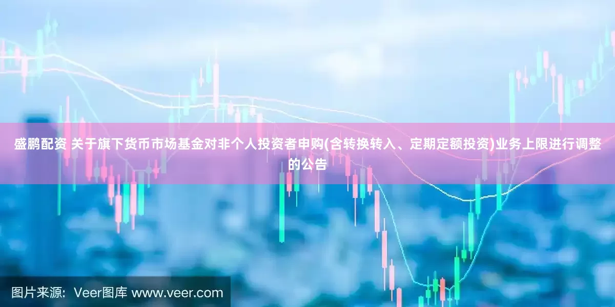盛鹏配资 关于旗下货币市场基金对非个人投资者申购(含转换转入、定期定额投资)业务上限进行调整的公告