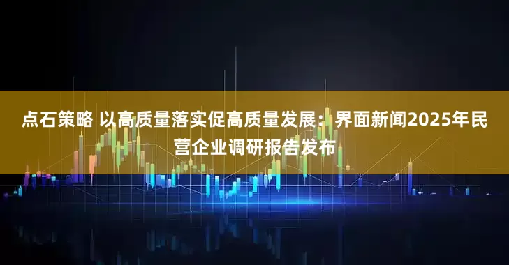点石策略 以高质量落实促高质量发展：界面新闻2025年民营企业调研报告发布