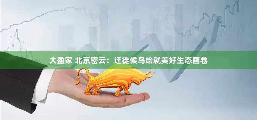 大盈家 北京密云：迁徙候鸟绘就美好生态画卷